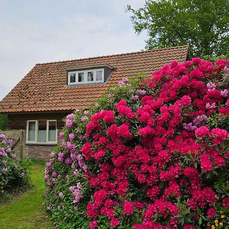 Holiday Home Countryside, Langbroek / Doorn Exterior photo