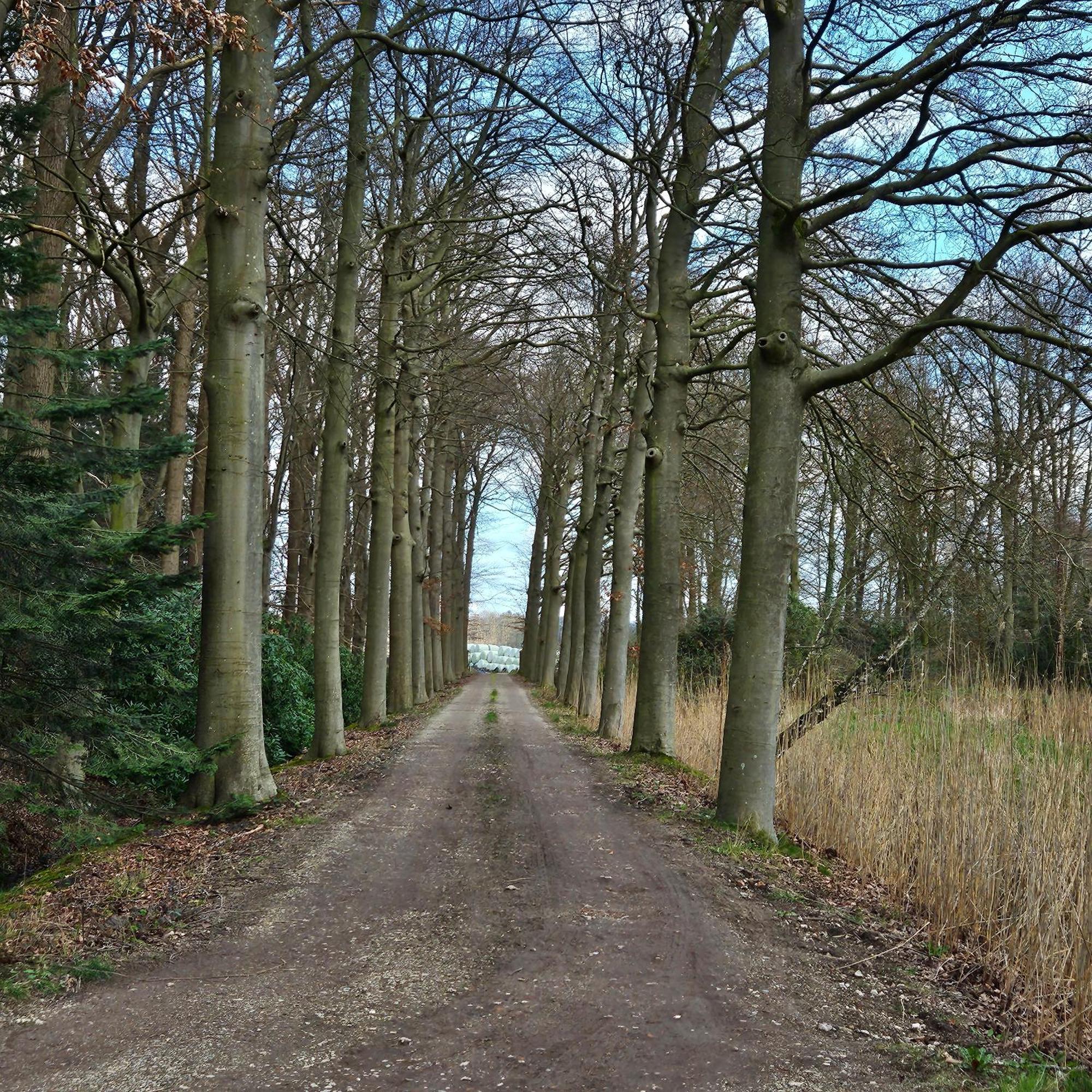 Holiday Home Countryside, Langbroek / Doorn Exterior photo